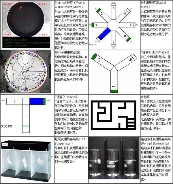 行為學(xué)0.jpg