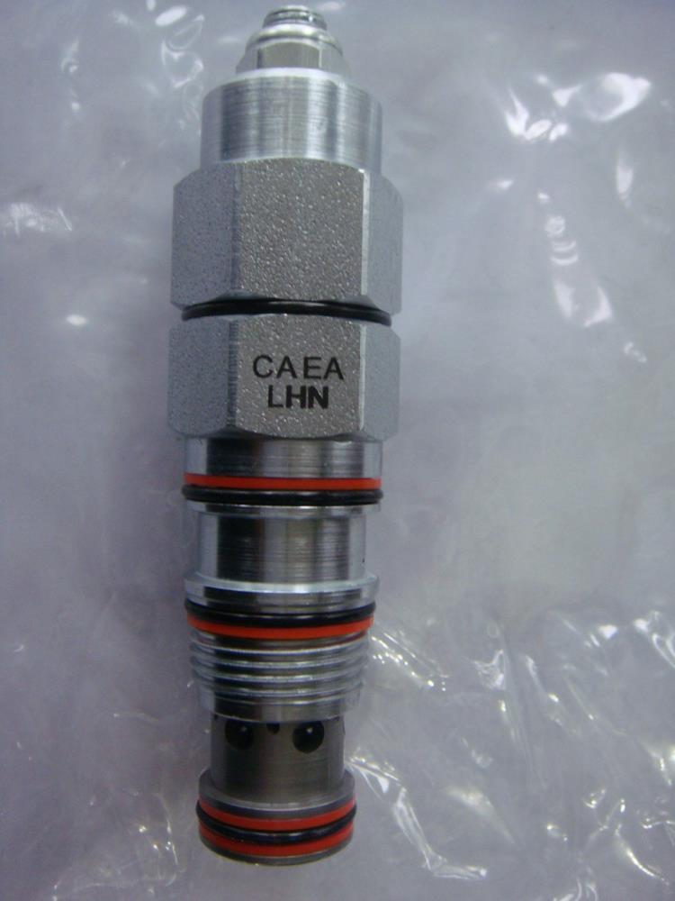 CAEA-LHN(1).jpg